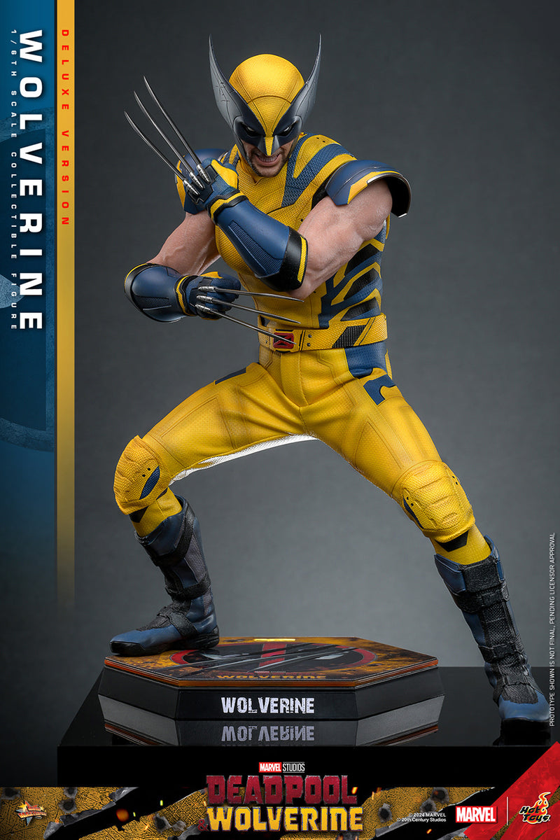 Load image into Gallery viewer, Hot Toys - Deadpool and Wolverine - Wolverine (Deluxe)
