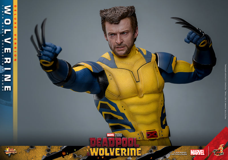 Load image into Gallery viewer, Hot Toys - Deadpool and Wolverine - Wolverine (Deluxe)
