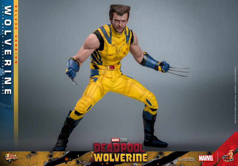 Load image into Gallery viewer, Hot Toys - Deadpool and Wolverine - Wolverine (Deluxe)
