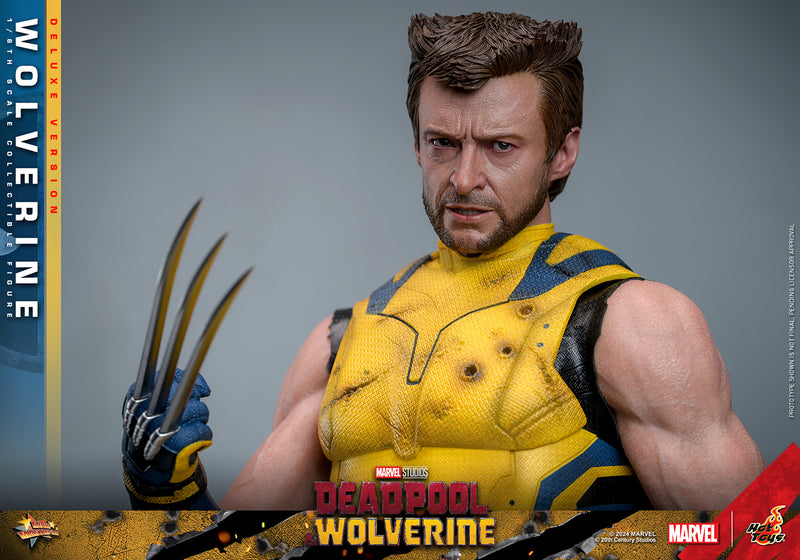 Load image into Gallery viewer, Hot Toys - Deadpool and Wolverine - Wolverine (Deluxe)
