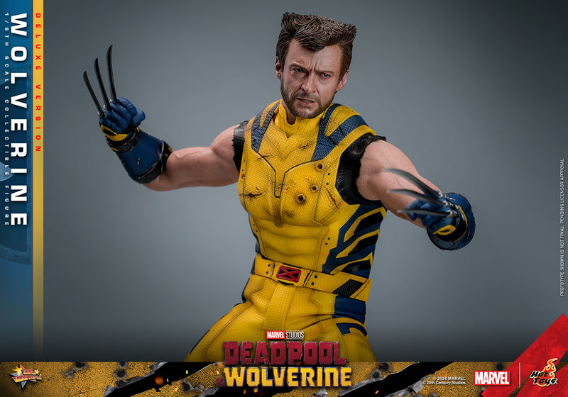 Load image into Gallery viewer, Hot Toys - Deadpool and Wolverine - Wolverine (Deluxe)
