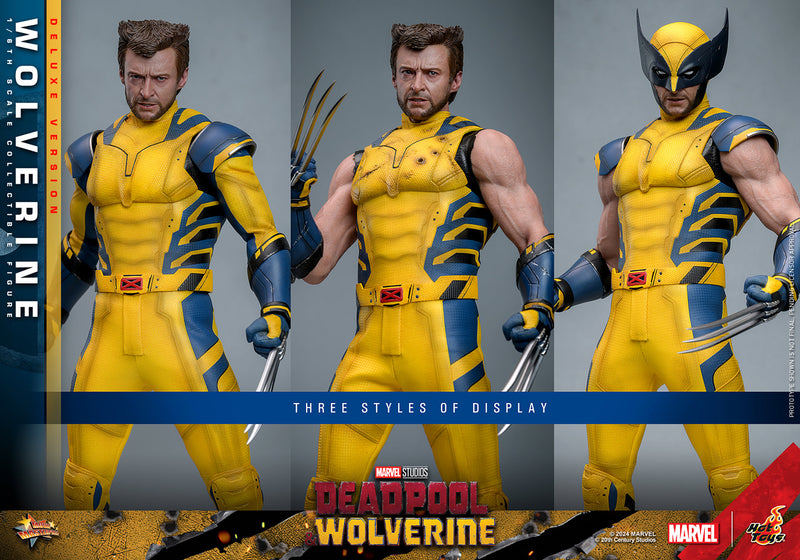 Load image into Gallery viewer, Hot Toys - Deadpool and Wolverine - Wolverine (Deluxe)
