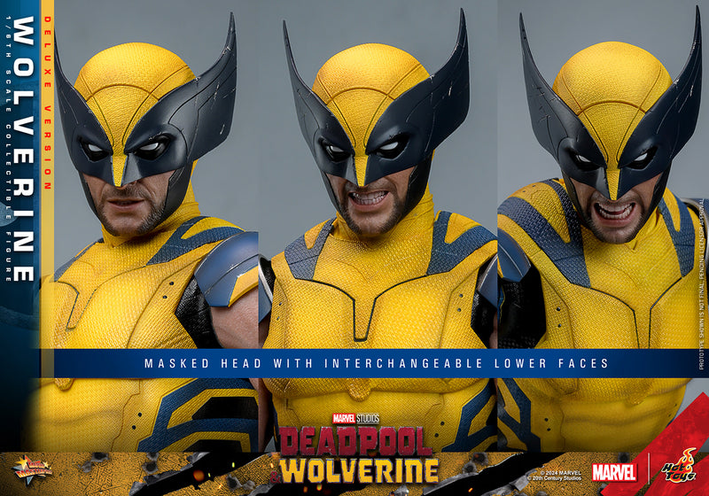 Load image into Gallery viewer, Hot Toys - Deadpool and Wolverine - Wolverine (Deluxe)
