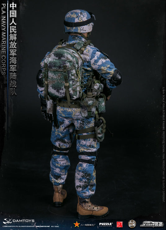 DAM Toys - PLA Navy Marine Corps