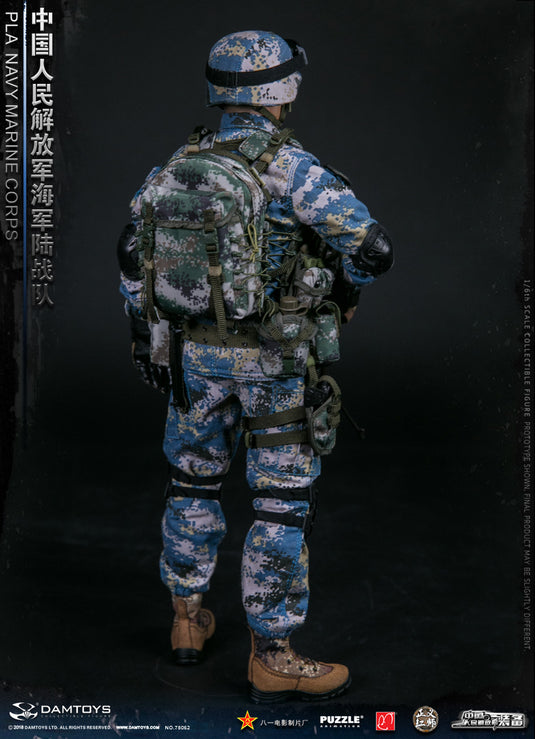 DAM Toys - PLA Navy Marine Corps