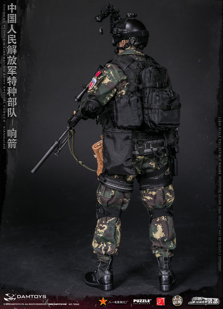 Load image into Gallery viewer, Dam Toys - Chinese People&#39;&#39;s Liberation Army Special Forces - XIANGJIAN
