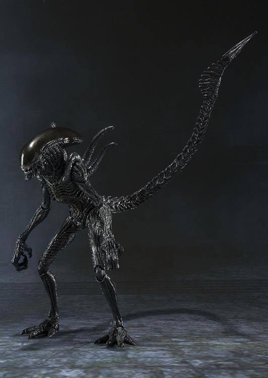 Load image into Gallery viewer, Bandai - S.H.Monsterarts Aliens VS Predator: Alien Warrior
