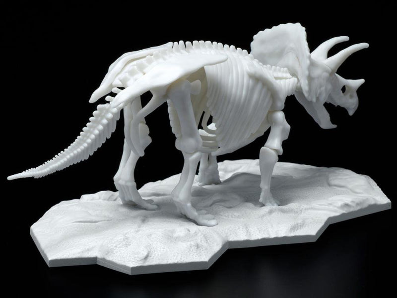 Load image into Gallery viewer, Bandai - Dinosaur Skeleton: Triceratops
