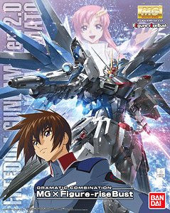MG - Freedom Gundam ver 2.0 & Kira Yamato