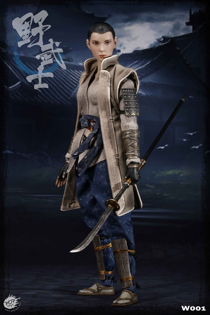 Load image into Gallery viewer, Pop Toys - Ronin Nobushi
