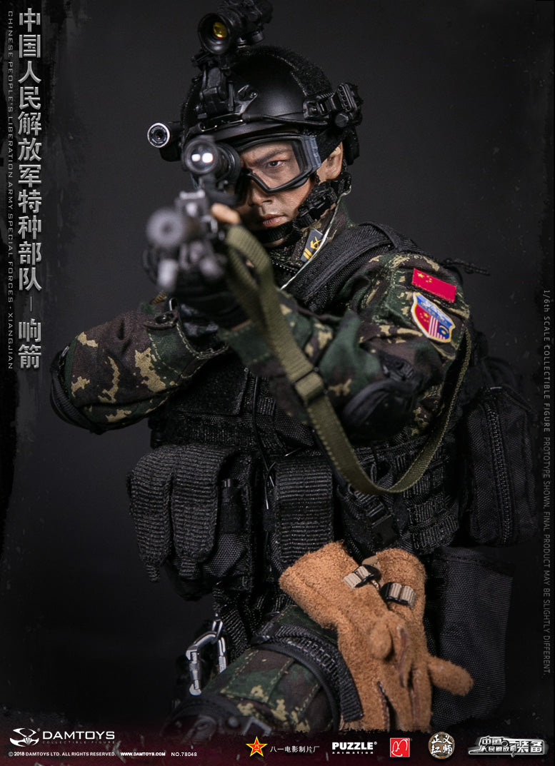 Load image into Gallery viewer, Dam Toys - Chinese People&#39;&#39;s Liberation Army Special Forces - XIANGJIAN
