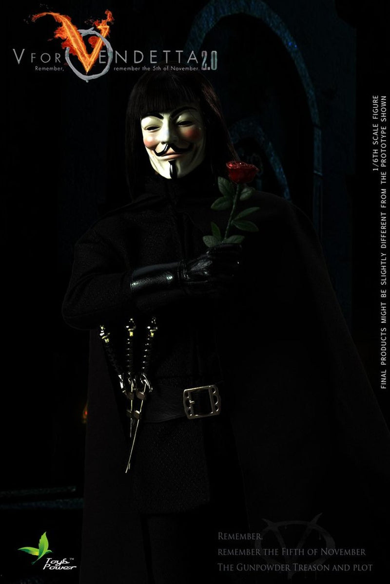 Load image into Gallery viewer, Toys Power  -  V for Vendetta 2.0
