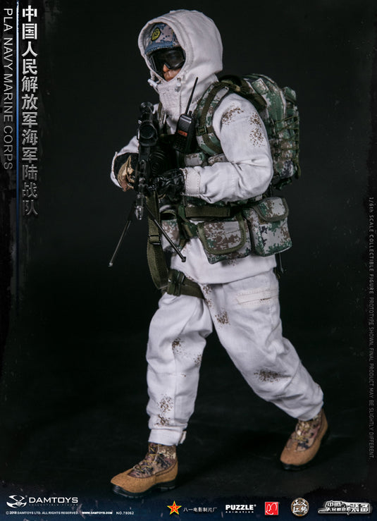 DAM Toys - PLA Navy Marine Corps
