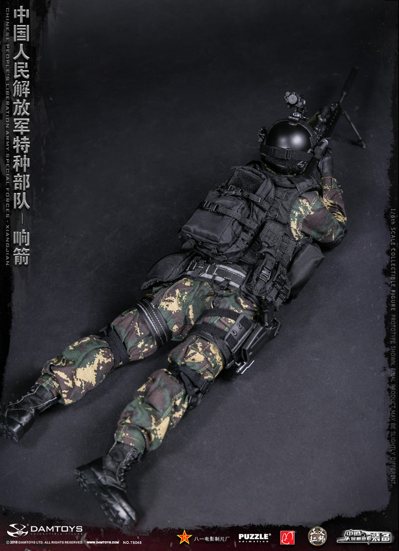 Load image into Gallery viewer, Dam Toys - Chinese People&#39;&#39;s Liberation Army Special Forces - XIANGJIAN
