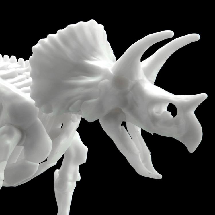 Load image into Gallery viewer, Bandai - Dinosaur Skeleton: Triceratops

