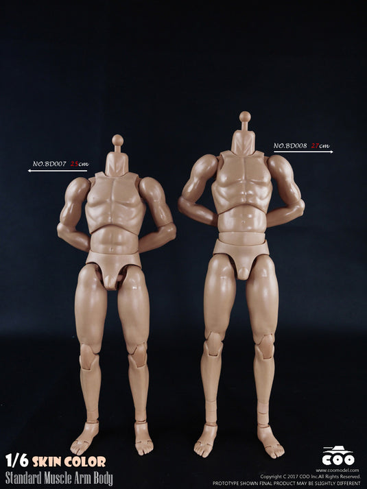 COO Model - Standard Muscle Arm Body - Tall