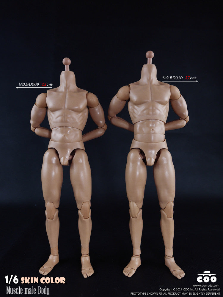 Load image into Gallery viewer, COO Model - Muscle Male Body - Tall
