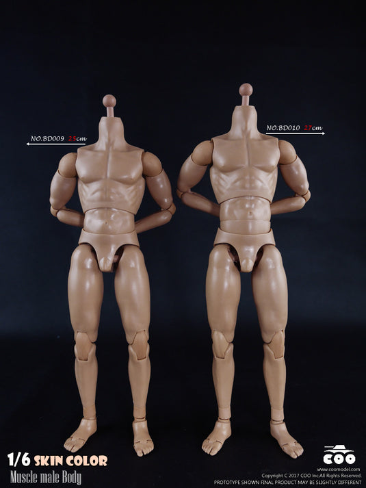 COO Model - Muscle Male Body - Tall