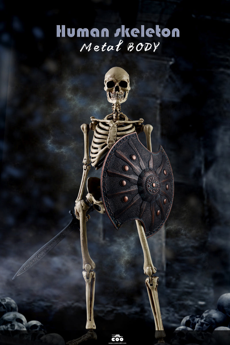 Load image into Gallery viewer, Coo Model - The Human Skeleton (Diecast Alloy)
