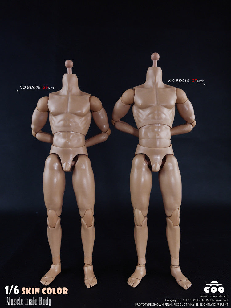 Load image into Gallery viewer, COO Model - Muscle Male Body
