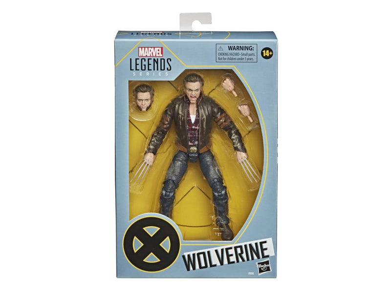 Load image into Gallery viewer, Marvel Legends - X-Men 20th Anniversary: X-Men (2000) Wolverine
