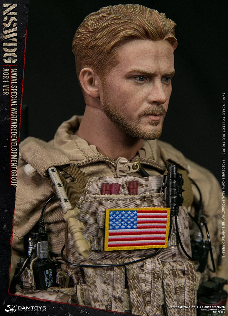 Load image into Gallery viewer, DAM Toys - Elite Series: NSWDG Naval Special Warfare Development Group AOR1 Ver.
