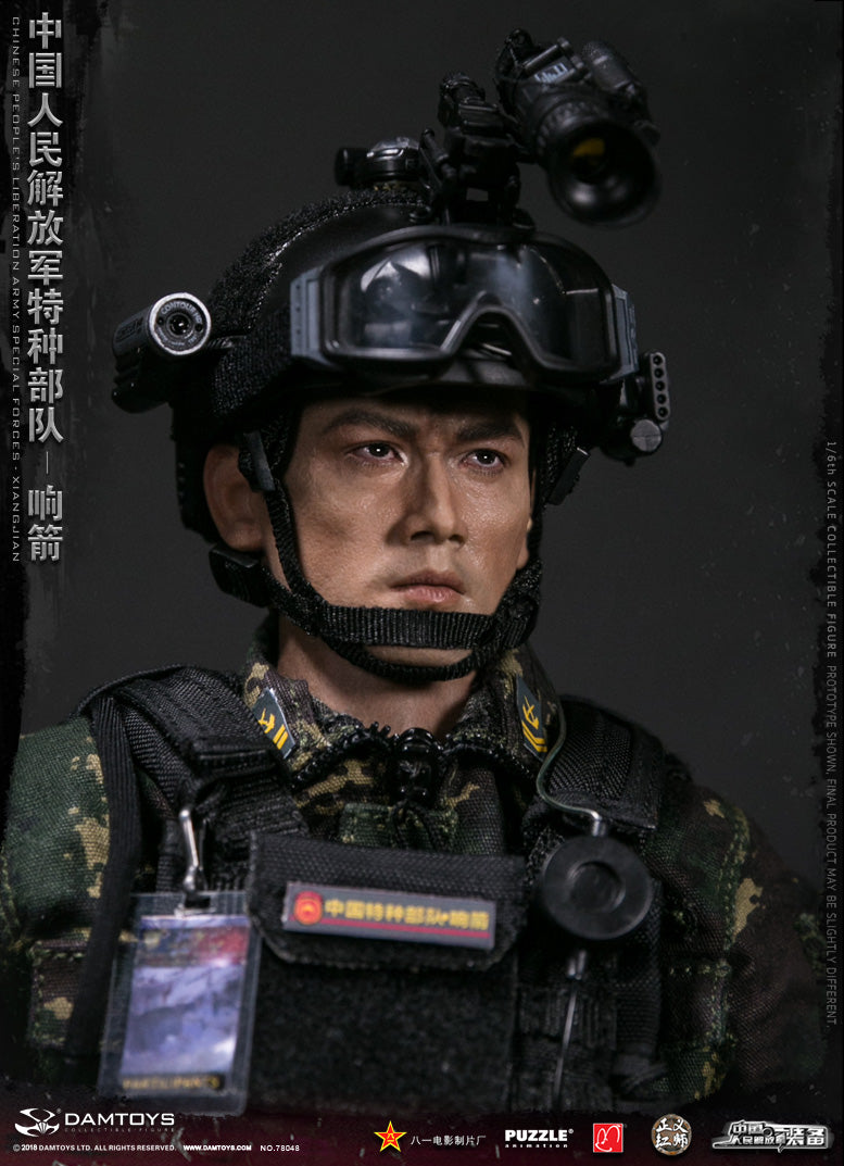 Load image into Gallery viewer, Dam Toys - Chinese People&#39;&#39;s Liberation Army Special Forces - XIANGJIAN
