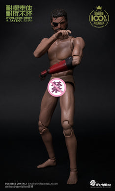 World Box - Intelligent Prosthesis Body