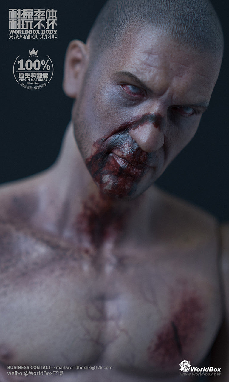 Load image into Gallery viewer, Worldbox - Zombie Durable Body Set
