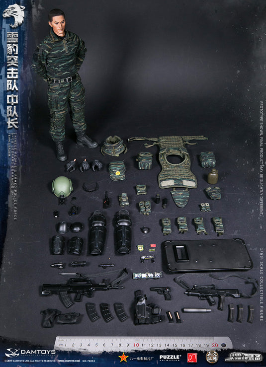 DAM Toys - Chinese People's Armed Police Force Snow Leopard Commando Unit Team Leader