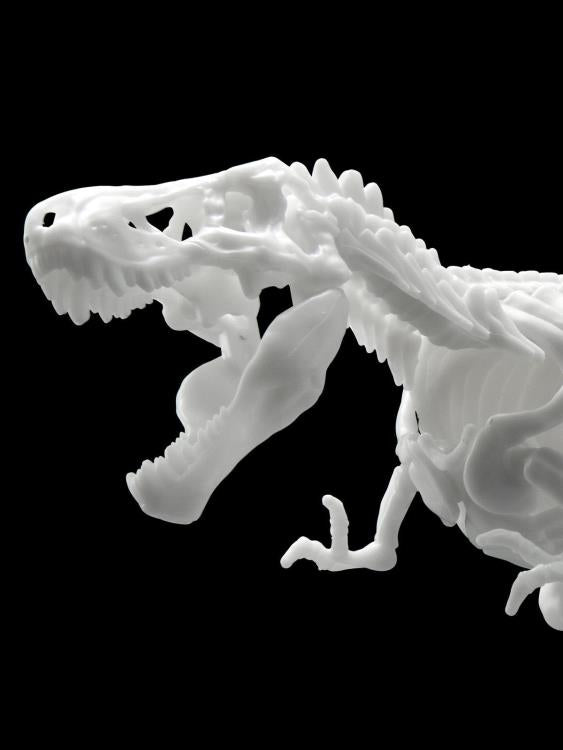 Load image into Gallery viewer, Bandai - Dinosaur Skeleton: Tyrannosaurus
