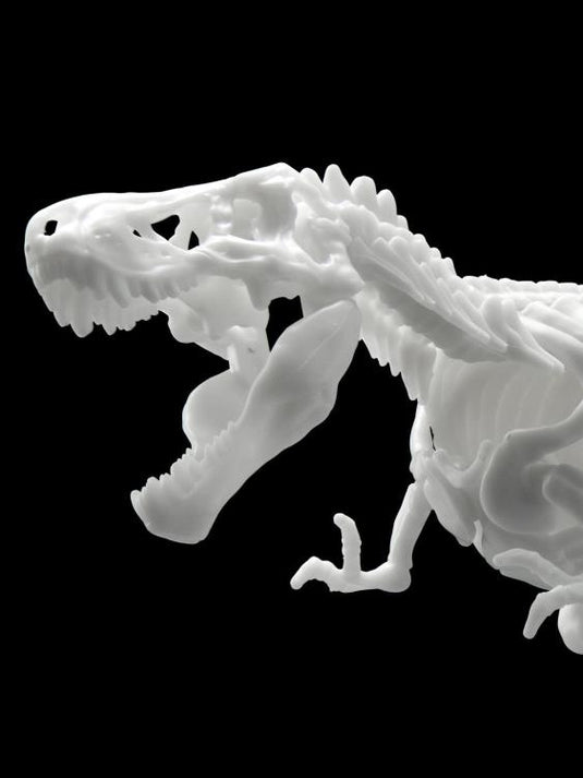 Bandai - Dinosaur Skeleton: Tyrannosaurus