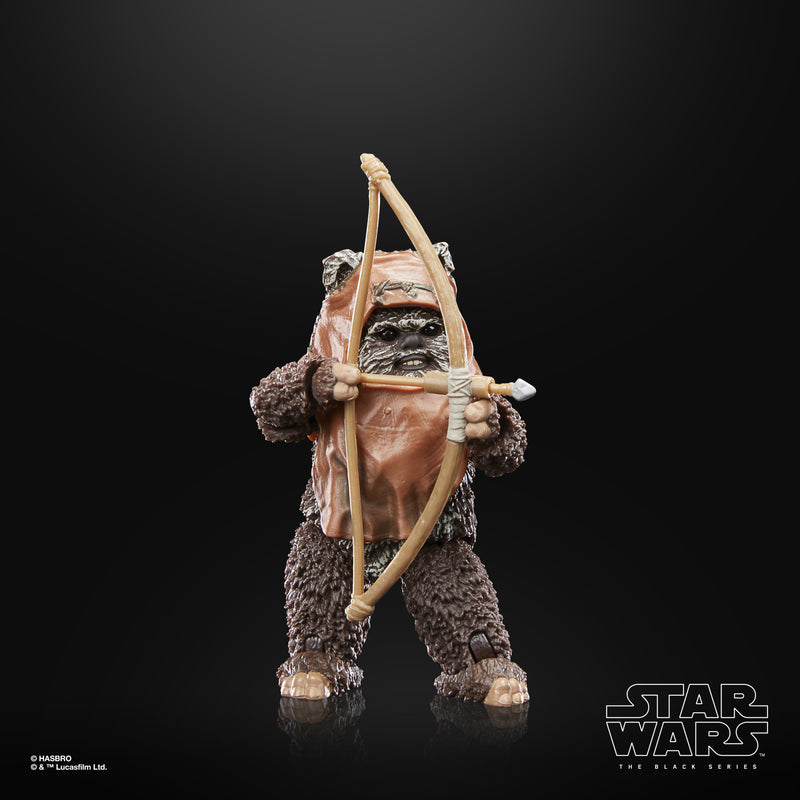 Load image into Gallery viewer, Star Wars The Black Series: Return of the Jedi 40th Anniversary - Wicket

