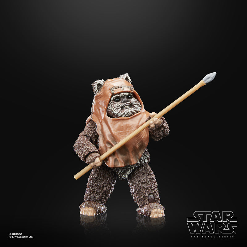 Load image into Gallery viewer, Star Wars The Black Series: Return of the Jedi 40th Anniversary - Wicket
