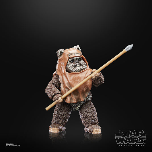 Star Wars The Black Series: Return of the Jedi 40th Anniversary - Wicket