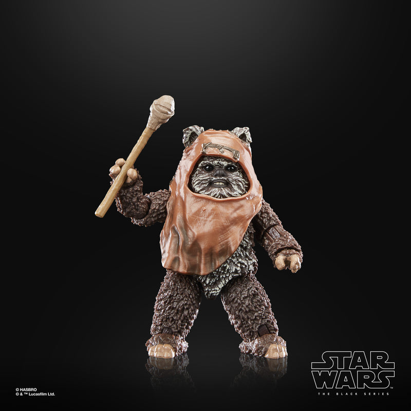 Load image into Gallery viewer, Star Wars The Black Series: Return of the Jedi 40th Anniversary - Wicket
