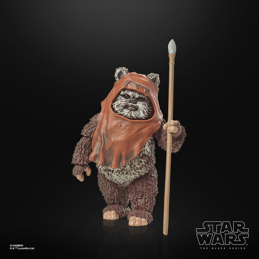 Star Wars The Black Series: Return of the Jedi 40th Anniversary - Wicket