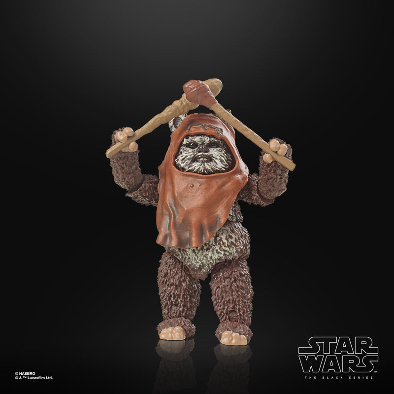 Load image into Gallery viewer, Star Wars The Black Series: Return of the Jedi 40th Anniversary - Wicket
