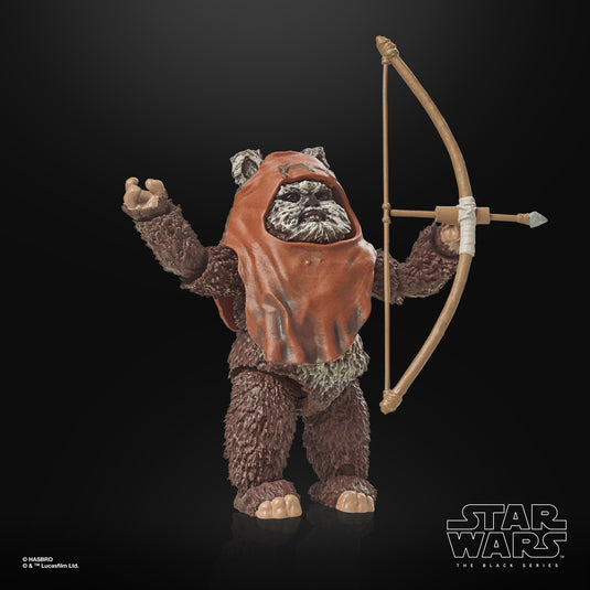 Star Wars The Black Series: Return of the Jedi 40th Anniversary - Wicket