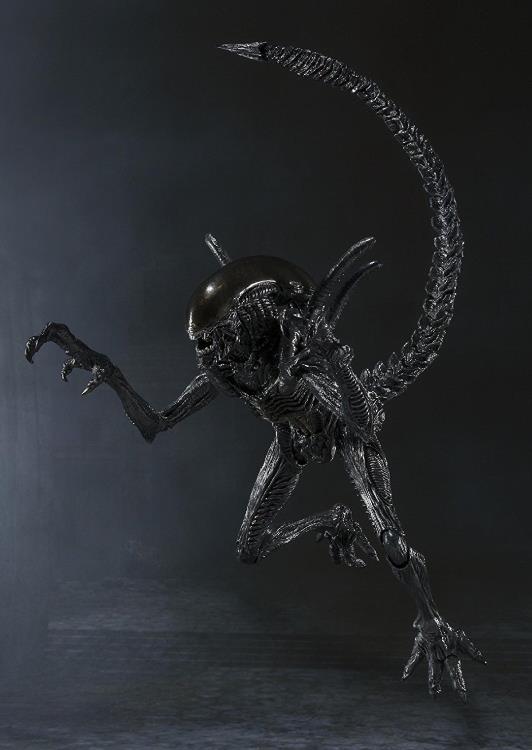 Bandai - S.H.Monsterarts Aliens VS Predator: Alien Warrior