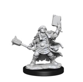 Load image into Gallery viewer, WizKids - Dungeons and Dragons Frameworks: Dwarf Cleric Female
