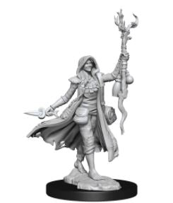 Load image into Gallery viewer, WizKids - Dungeons and Dragons Frameworks: Human Druid Female
