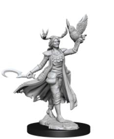 Load image into Gallery viewer, WizKids - Dungeons and Dragons Frameworks: Human Druid Female

