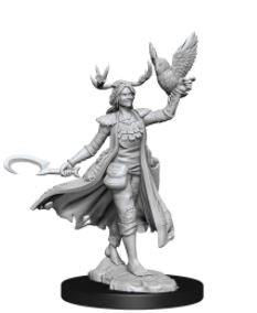 WizKids - Dungeons and Dragons Frameworks: Human Druid Female