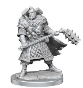 WizKids - Dungeons and Dragons Frameworks: Human Fighter Male
