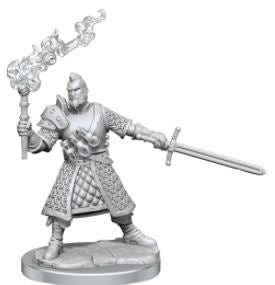 WizKids - Dungeons and Dragons Frameworks: Human Fighter Male