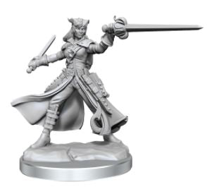 Load image into Gallery viewer, WizKids - Dungeons and Dragons Frameworks: Tiefling Rogue Female
