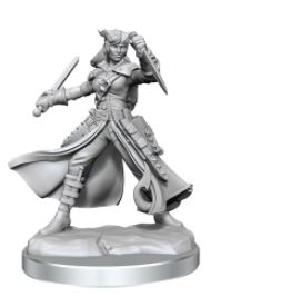 Load image into Gallery viewer, WizKids - Dungeons and Dragons Frameworks: Tiefling Rogue Female
