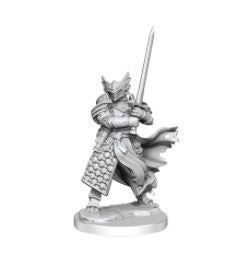 WizKids - Dungeons and Dragons Frameworks: Dragonborn Paladin Male