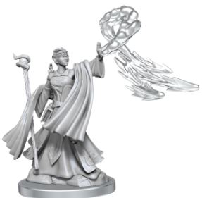 Load image into Gallery viewer, WizKids - Dungeons and Dragons Frameworks: Elf Wizards Female
